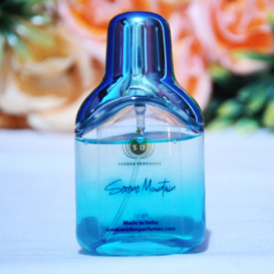 Serene Mountain Premium 30ml Perfume for Men